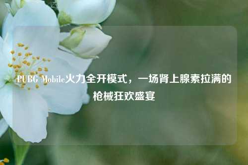 PUBG Mobile火力全开模式,一场肾上腺素拉满的枪械狂欢盛宴