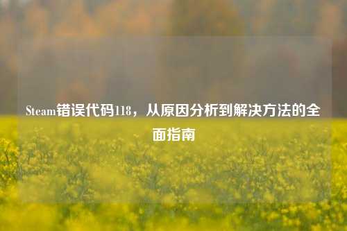 Steam错误代码118，从原因分析到解决 *** 的全面指南
