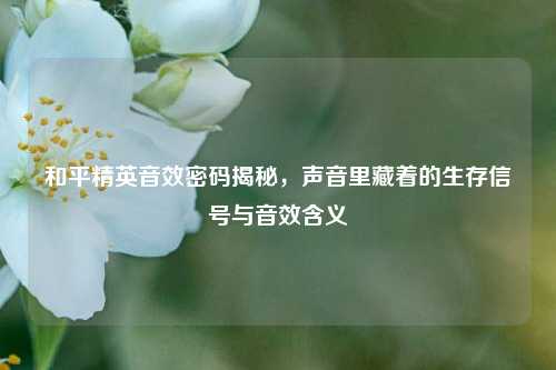 和平精英音效密码揭秘，声音里藏着的生存信号与音效含义