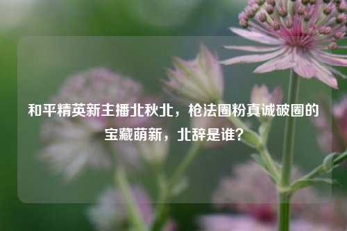 和平精英新主播北秋北，枪法圈粉真诚破圈的宝藏萌新，北辞是谁？