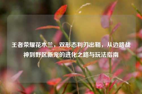 王者荣耀花木兰，双形态利刃出鞘，从边路战神到野区新宠的进化之路与玩法指南