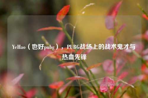 YeHao（也好pubg），PUBG战场上的战术鬼才与热血先锋