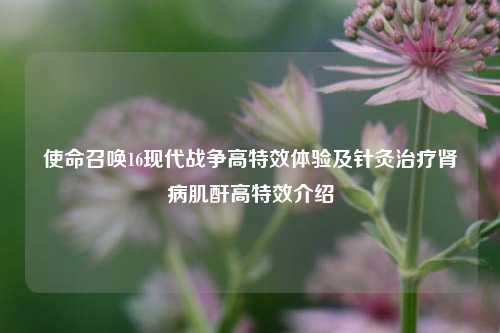 使命召唤16现代战争高特效体验及针灸治疗肾病肌酐高特效介绍