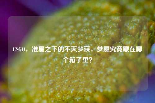 CSGO，准星之下的不灭梦寐，梦魇究竟藏在哪个箱子里？