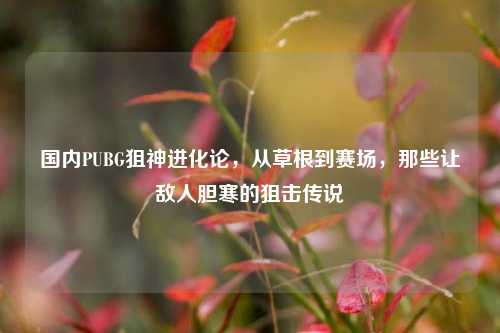 国内PUBG狙神进化论，从草根到赛场，那些让敌人胆寒的狙击传说
