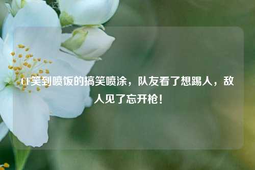 CF笑到喷饭的搞笑喷涂，队友看了想踢人，敌人见了忘开枪！