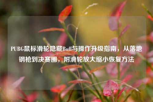 PUBG鼠标滑轮隐藏Buff与操作升级指南，从落地钢枪到决赛圈，附滑轮放大缩小恢复 *** 