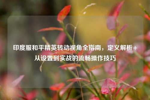 印度服和平精英转动视角全指南，定义解析+从设置到实战的流畅操作技巧