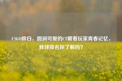 CSGO胖白，圆润可爱的CT藏着玩家青春记忆，胖球排名你了解吗？