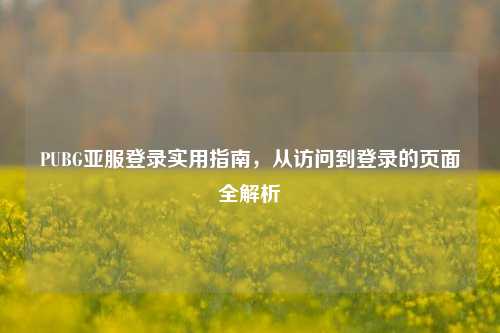 PUBG亚服登录实用指南，从访问到登录的页面全解析