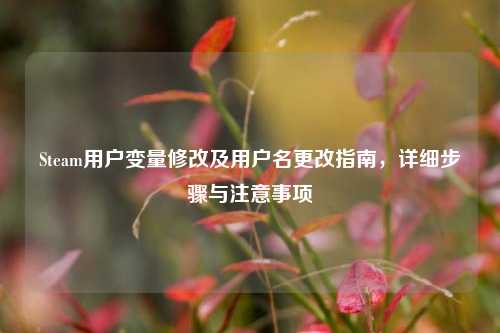 Steam用户变量修改及用户名更改指南，详细步骤与注意事项