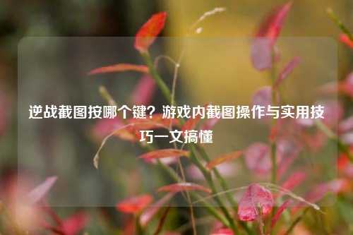 逆战截图按哪个键？游戏内截图操作与实用技巧一文搞懂
