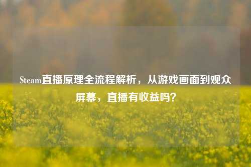 Steam直播原理全流程解析，从游戏画面到观众屏幕，直播有收益吗？