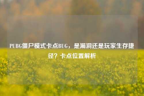PUBG僵尸模式卡点BUG，是漏洞还是玩家生存捷径？卡点位置解析