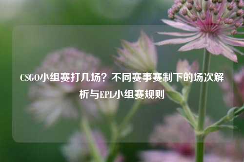 CSGO小组赛打几场？不同赛事赛制下的场次解析与EPL小组赛规则