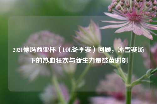 2021德玛西亚杯（LOL冬季赛）回顾，冰雪赛场下的热血狂欢与新生力量破茧时刻