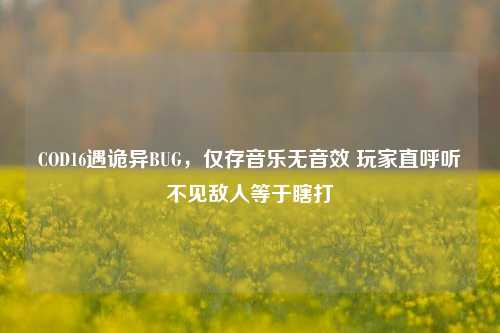 COD16遇诡异BUG，仅存音乐无音效 玩家直呼听不见敌人等于瞎打