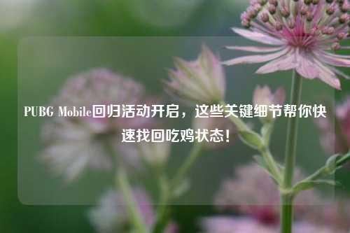 PUBG Mobile回归活动开启，这些关键细节帮你快速找回吃鸡状态！