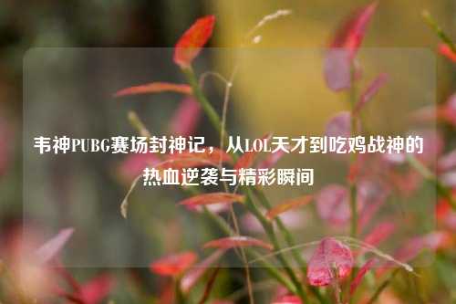 韦神PUBG赛场封神记，从LOL天才到吃鸡战神的热血逆袭与精彩瞬间