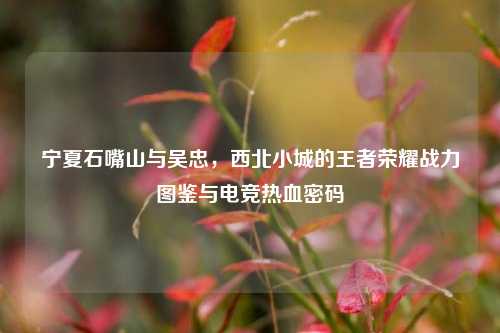 宁夏石嘴山与吴忠，西北小城的王者荣耀战力图鉴与电竞热血密码