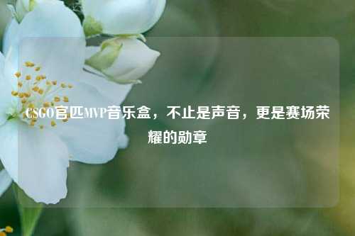 CSGO官匹MVP音乐盒，不止是声音，更是赛场荣耀的勋章