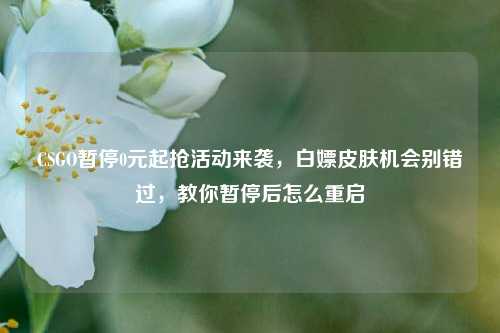 CSGO暂停0元起抢活动来袭，白嫖皮肤机会别错过，教你暂停后怎么重启