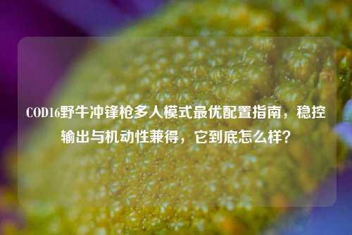 COD16野牛冲锋枪多人模式更优配置指南，稳控输出与机动性兼得，它到底怎么样？