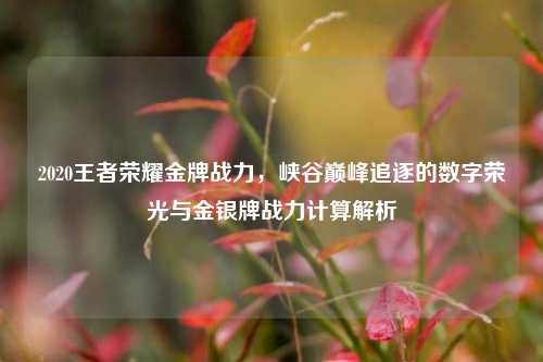 2020王者荣耀金牌战力，峡谷巅峰追逐的数字荣光与金银牌战力计算解析