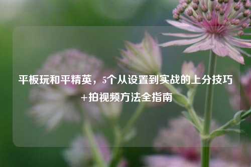 平板玩和平精英，5个从设置到实战的上分技巧+拍视频 *** 全指南