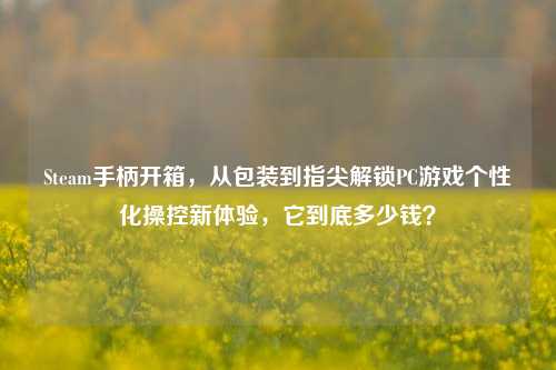 Steam手柄开箱，从包装到指尖解锁PC游戏个性化操控新体验，它到底多少钱？