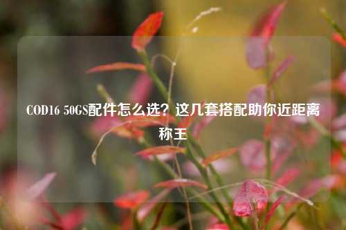 COD16 50GS配件怎么选？这几套搭配助你近距离称王