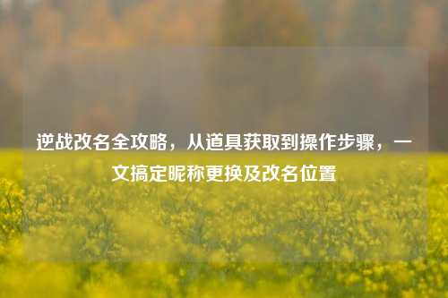 逆战改名全攻略，从道具获取到操作步骤，一文搞定昵称更换及改名位置