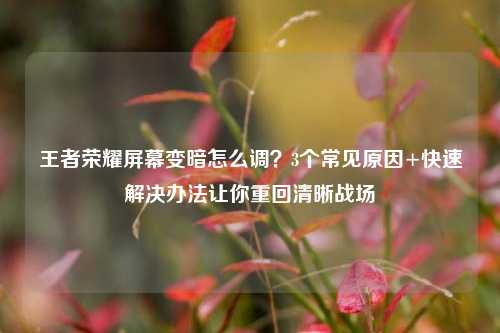 王者荣耀屏幕变暗怎么调？3个常见原因+快速解决办法让你重回清晰战场
