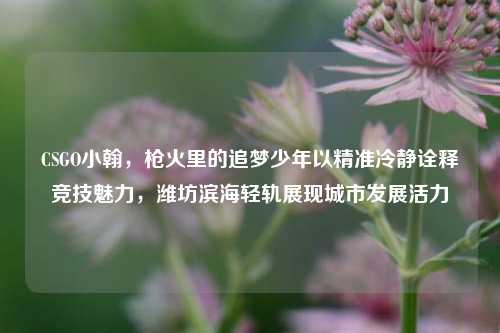 CSGO小翰，枪火里的追梦少年以精准冷静诠释竞技魅力，潍坊滨海轻轨展现城市发展活力