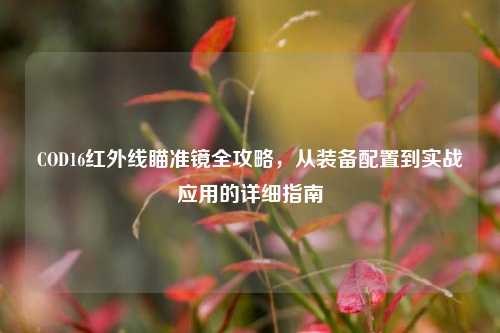 COD16红外线瞄准镜全攻略，从装备配置到实战应用的详细指南