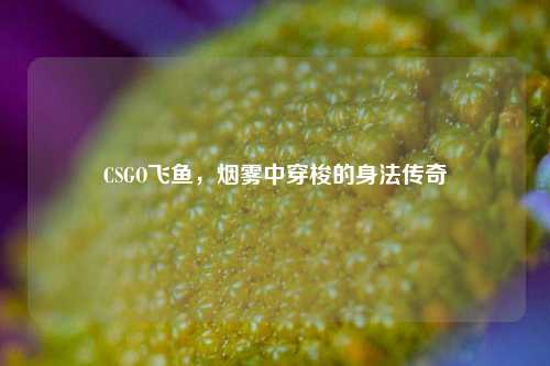 CSGO飞鱼，烟雾中穿梭的身法传奇