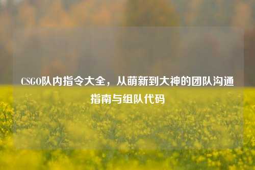 CSGO队内指令大全，从萌新到大神的团队沟通指南与组队代码