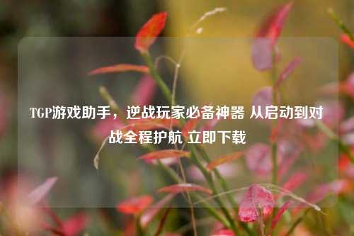 TGP游戏助手，逆战玩家必备神器 从启动到对战全程护航 立即下载