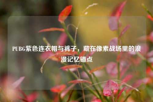 PUBG紫色连衣帽与裤子，藏在像素战场里的浪漫记忆锚点
