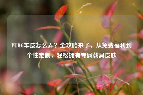 PUBG车皮怎么弄？全攻略来了，从免费福利到个性定制，轻松拥有专属载具皮肤