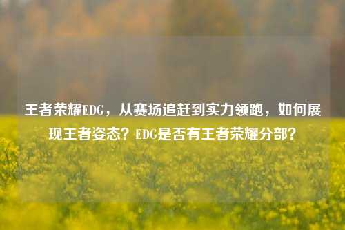 王者荣耀EDG，从赛场追赶到实力领跑，如何展现王者姿态？EDG是否有王者荣耀分部？