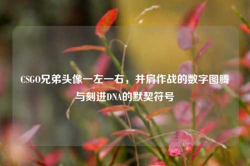 CSGO兄弟头像一左一右，并肩作战的数字图腾与刻进DNA的默契符号