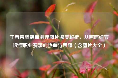 王者荣耀冠军测评图片深度解析，从画面细节读懂职业赛事的热血与荣耀（含图片大全）