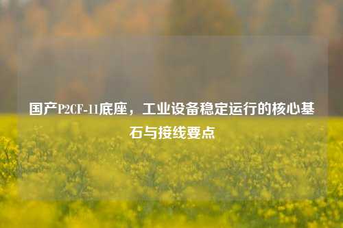详细阅读:国产P2CF-11底座,工业设备稳定运行的核心基石与接线要点 国产P2CF-11底座,工业设备稳定运行的核心基石与接线要点