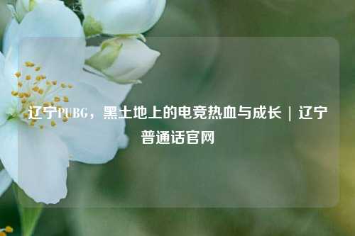 辽宁PUBG，黑土地上的电竞热血与成长 | 辽宁普通话官网