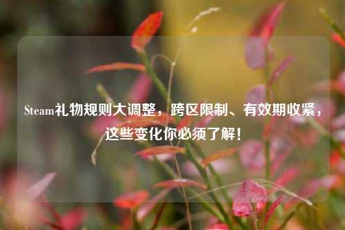 Steam礼物规则大调整，跨区限制、有效期收紧，这些变化你必须了解！