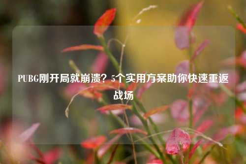 PUBG刚开局就崩溃?5个实用方案助你快速重返战场