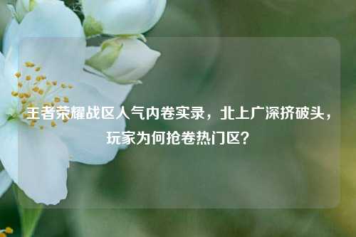 王者荣耀战区人气内卷实录,北上广深挤破头,玩家为何抢卷热门区?