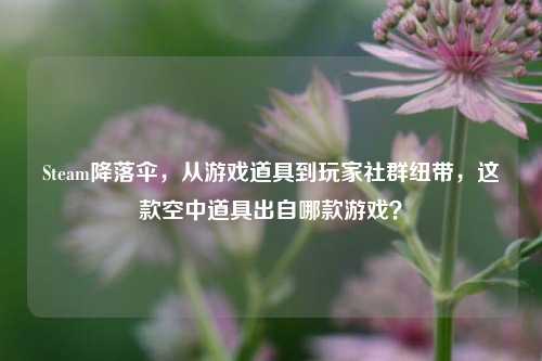 Steam降落伞,从游戏道具到玩家社群纽带,这款空中道具出自哪款游戏?