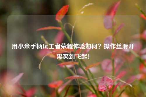 用小米手柄玩王者荣耀体验如何?操作丝滑开黑爽到飞起!